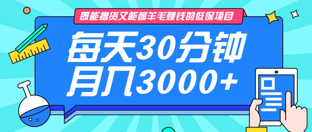 既能撸货又能赚钱的长期低保项目，每天30分钟，多号百分百稳定月入3000+！-瀚洪创业网