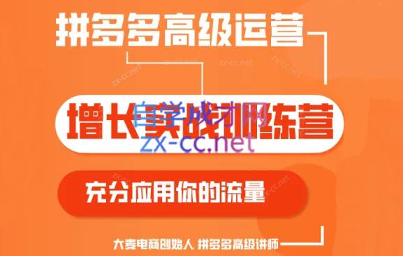 大麦老师·拼多多单品爆款打造课程(更新6月)-瀚洪创业网