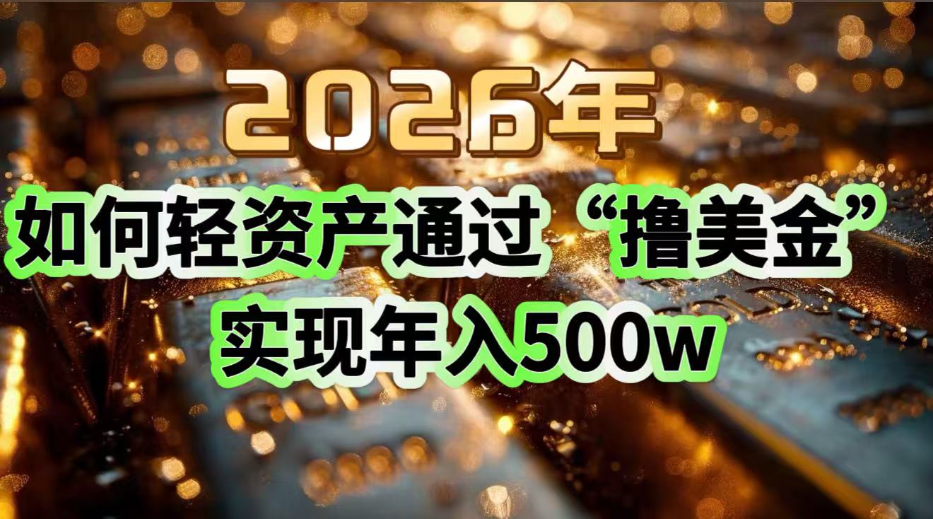 2026年如何轻资产通过“撸美金”实现年入500w-瀚洪创业网