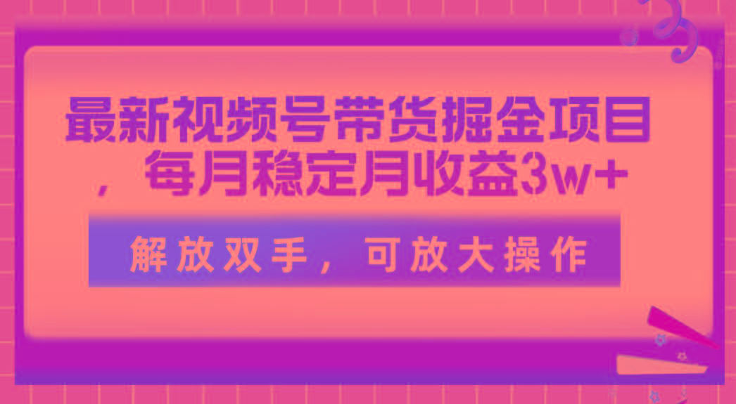 最新视频号带货掘金项目，每月稳定月收益3w+，解放双手，可放大操作-瀚洪创业网