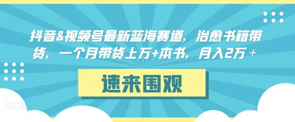 抖音&视频号最新蓝海赛道，治愈书籍带货，一个月带货上万+本书，月入2万＋【揭秘】-瀚洪创业网