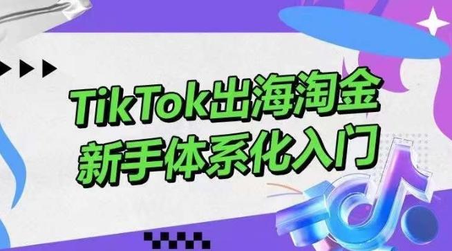 TikTok出海淘金，新手体系化入门，零基础快速入门，掌握短视频、直播带货等引流到变现的知识-瀚洪创业网