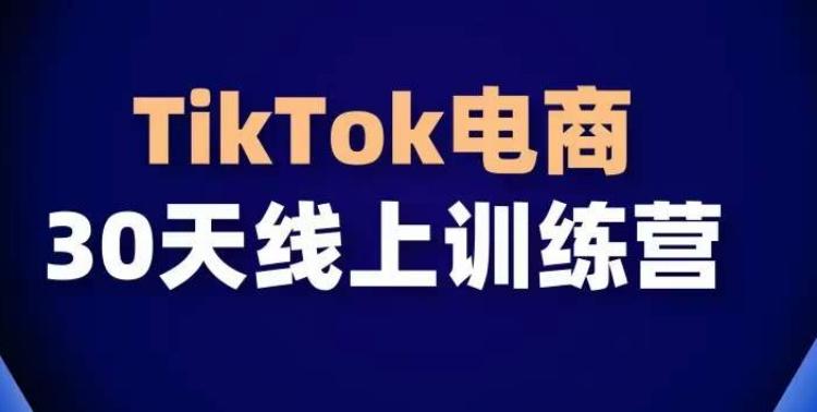 TikTok电商带货30天线上课，不可错过的全球流量洼地！-瀚洪创业网