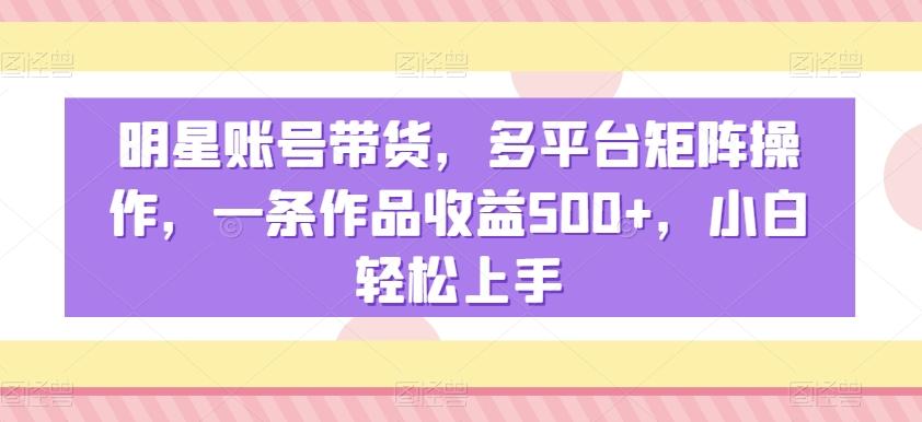 明星账号带货，多平台矩阵操作，一条作品收益500+，小白轻松上手【揭秘】-瀚洪创业网