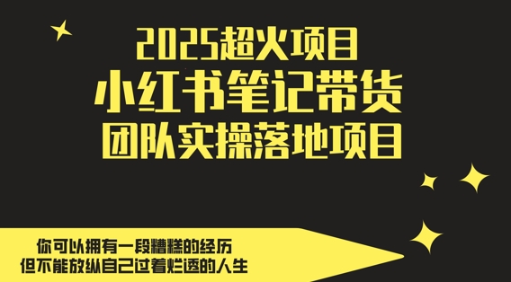 2025超火项目，副业最佳选择，小红书笔记带货团队实操落地项目，，轻松日入5张-瀚洪创业网