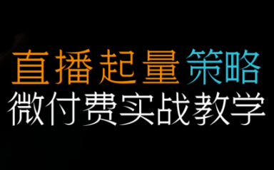 半野老师·直播带货起量与微付费必学课视频号(更新2026)-瀚洪创业网