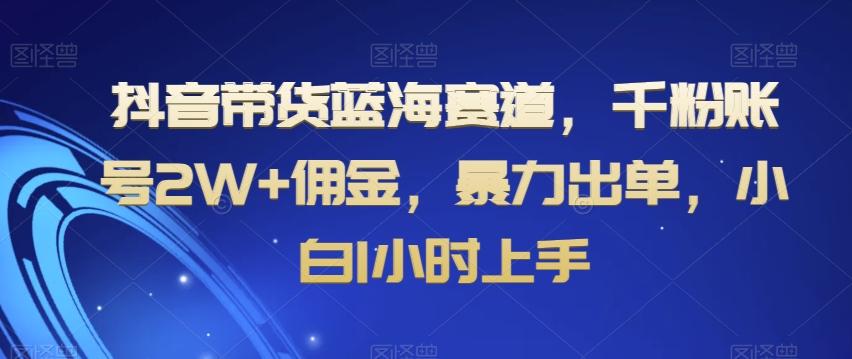 抖音带货蓝海赛道，千粉账号2W+佣金，暴力出单，小白1小时上手【揭秘】-瀚洪创业网