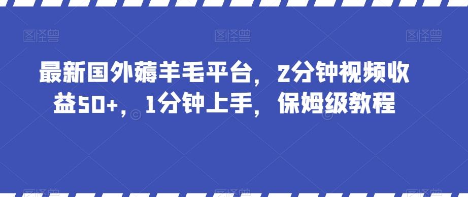 最新国外薅羊毛平台，2分钟视频收益50+，1分钟上手，保姆级教程【揭秘】-瀚洪创业网