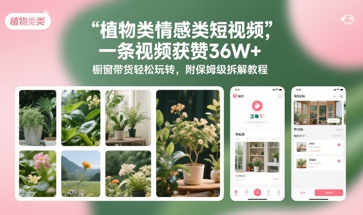 植物类情感类短视频，一条视频获赞36W+，橱窗带货轻松玩转，附保姆级拆解教程-瀚洪创业网