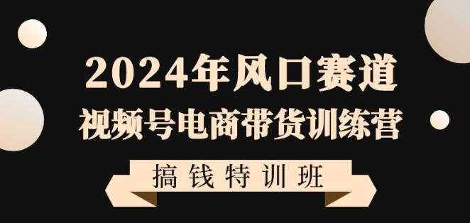 2024年风口赛道视频号电商带货训练营搞钱特训班，带领大家快速入局自媒体电商带货-瀚洪创业网