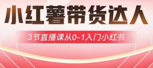 小红薯达人带货启航计划，3节直播课从0-1入门小红书-瀚洪创业网