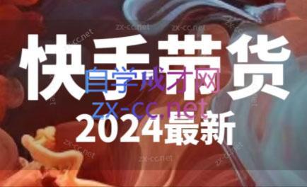 快手带货(2024最新)-瀚洪创业网