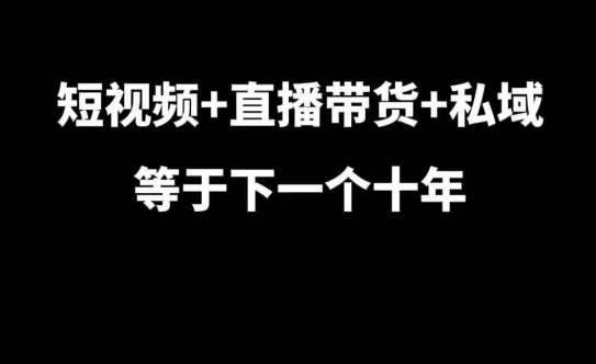 短视频+直播带货+私域等于下一个十年，大佬7年实战经验总结-瀚洪创业网
