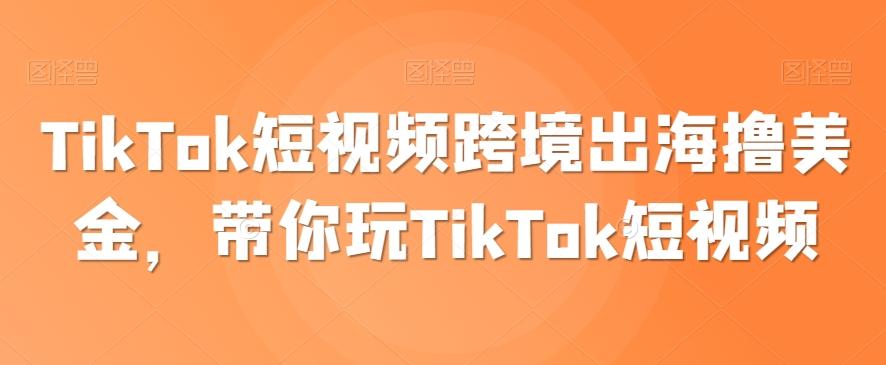 TikTok短视频跨境出海撸美金，带你玩TikTok短视频-瀚洪创业网