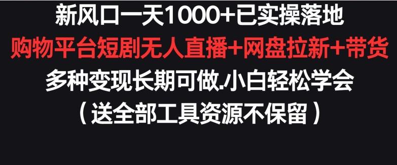 新风口一天1000+已实操落地购物平台短剧无人直播+网盘拉新+带货多种变现长期可做【揭秘】-瀚洪创业网