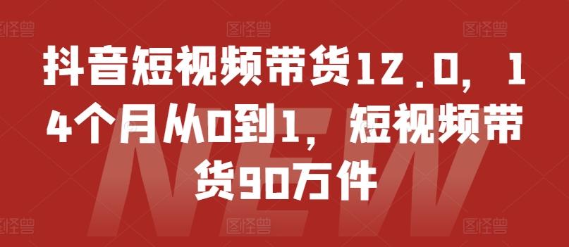 抖音短视频带货12.0，14个月从0到1，短视频带货90万件-瀚洪创业网