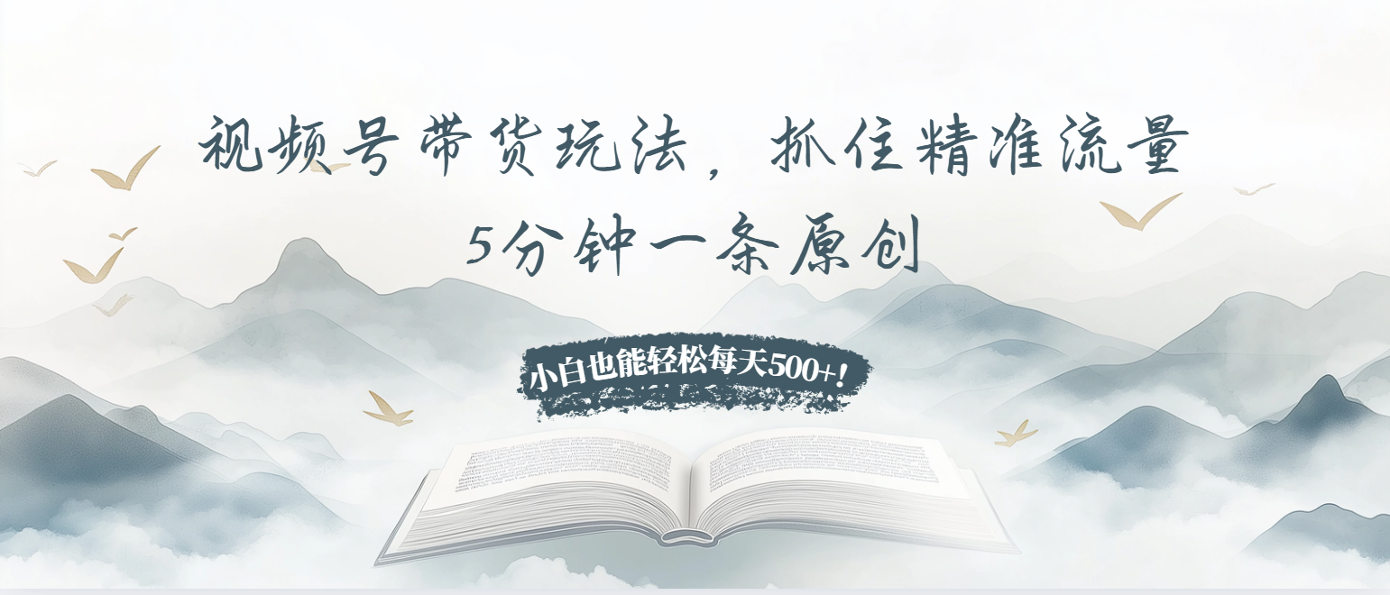 视频号带货玩法，抓住精准流量，5分钟一条原创，小白也能轻松每天500+！-瀚洪创业网