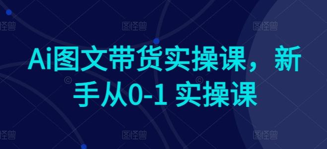 Ai图文带货实操课，新手从0-1 实操课-瀚洪创业网