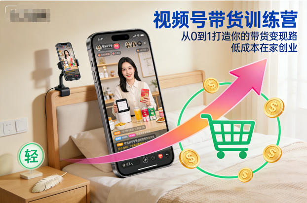 视频号带货训练营，从0到1打造你的带货变现路，低成本在家创业-瀚洪创业网