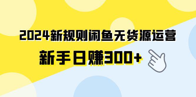 (9522期)2024新规则闲鱼无货源运营新手日赚300+-瀚洪创业网