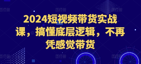 2024短视频带货实战课，搞懂底层逻辑，不再凭感觉带货-瀚洪创业网