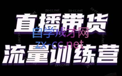 婉婉·直播带货课程系列合集(更新8月)-瀚洪创业网