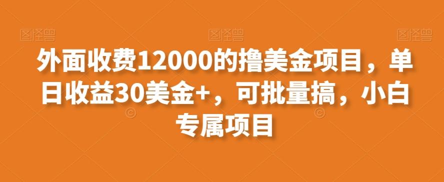 外面收费12000的撸美金项目，单日收益30美金+，可批量搞，小白专属项目-瀚洪创业网