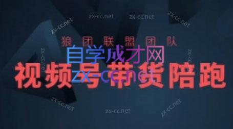 狼团联盟·2024视频号带货-瀚洪创业网