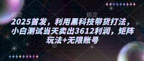 2025首发，利用黑科技带货打法，小白测试当天卖出3612利润，矩阵玩法+无限账号【揭秘】-瀚洪创业网