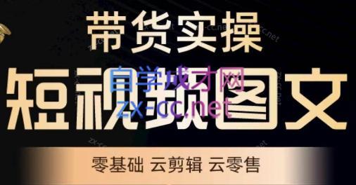 鑫哥·2024零基础短视频带货实操营-瀚洪创业网