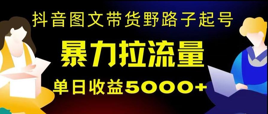 抖音图文带货暴力起号，单日收益5000+，野路子玩法，简单易上手，一部手机即可【揭秘】-瀚洪创业网