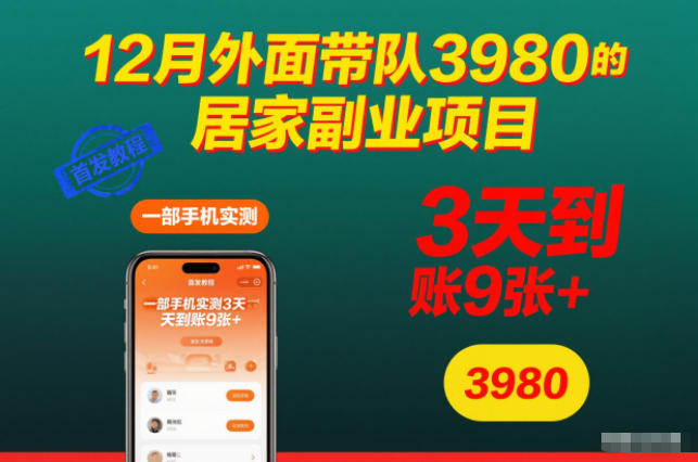 12月外面带队3980的居家副业项目，一部手机实测3天到账9张+，首发教程【揭秘】-瀚洪创业网