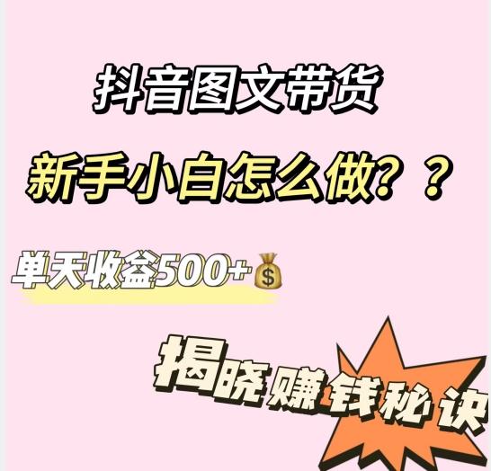 抖音图文带货，新手小白怎么做？单天收益500+【揭秘赚钱秘诀】-瀚洪创业网
