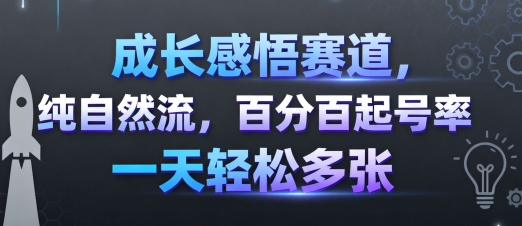 成长感悟赛道，纯自然流，百分百起号率 一天轻松多张-瀚洪创业网