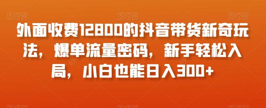 外面收费12800的抖音带货新奇玩法，爆单流量密码，新手轻松入局，小白也能日入300+【揭秘】-瀚洪创业网