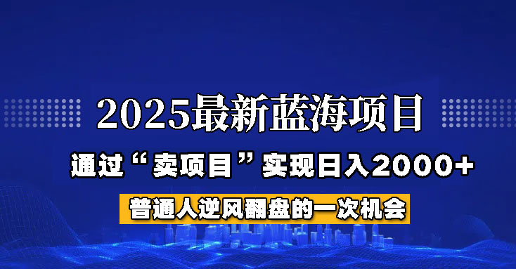 2025年蓝海项目，如何通过“网创项目”日入2000+-瀚洪创业网