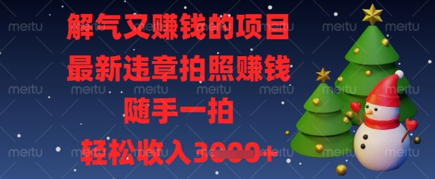 解气又挣钱的项目，最新违章拍照挣钱，随手一拍，轻松收入数张【揭秘】-瀚洪创业网