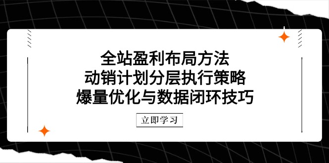 全站盈利布局方法：动销计划分层执行策略，爆量优化与数据闭环技巧-瀚洪创业网