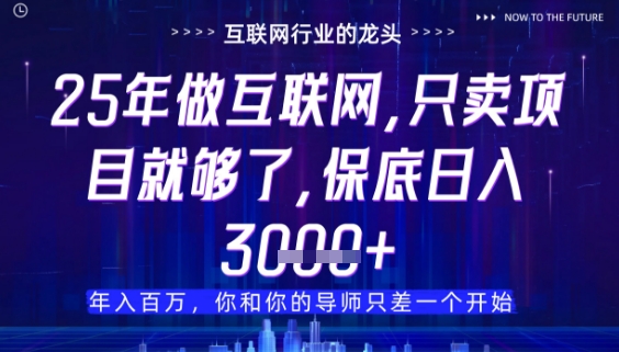 什么！25年你还在找项目做？风口早就变了，卖项目才是稳挣不赔【揭秘】-瀚洪创业网