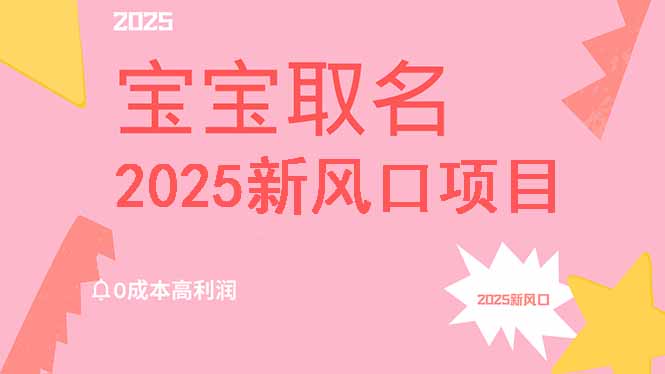 2025新风口项目宝宝取名，0成本高利润，附保姆级教程，月入过万不是梦-瀚洪创业网