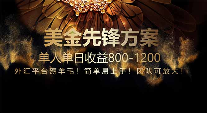 免费技术！小众赛道！一年布局抵三年努力，每日800+-瀚洪创业网