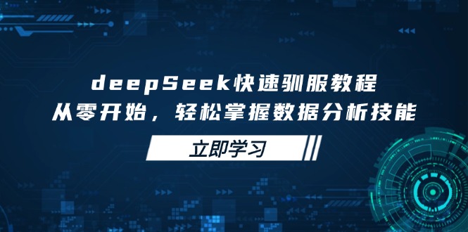deepSeek快速驯服教程，从零开始，轻松掌握数据分析技能-瀚洪创业网