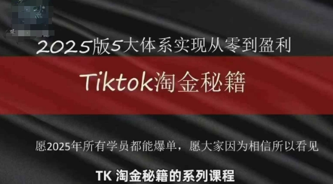 TikTok跨境2025淘金秘籍，​2025TikTok从0到盈利变现-瀚洪创业网