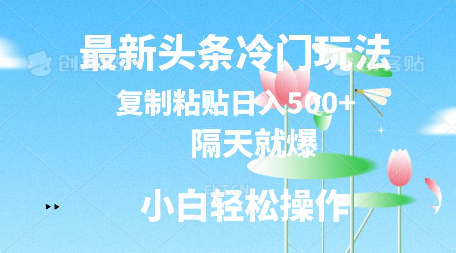 最新头条冷门玩法，隔天就爆，复制粘贴日入500+-瀚洪创业网