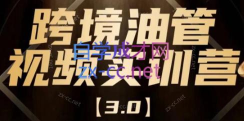 阿蔺Leo·跨境油管视频YouTube实训营(更新2025)-瀚洪创业网