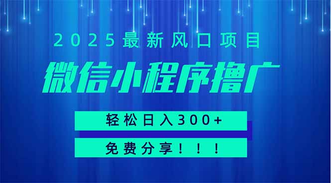 微信小程序撸广，最新风口项目，日入300+ 免费分享 可批量操作 小白可…-瀚洪创业网