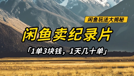 闲鱼卖纪录片1单3块钱，1天几十单，项目稳定有潜力-瀚洪创业网