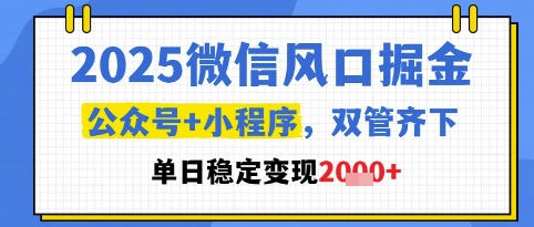 2025微信风口掘金，公众号+小程序双管齐下，单日稳定变现1k+【揭秘】-瀚洪创业网