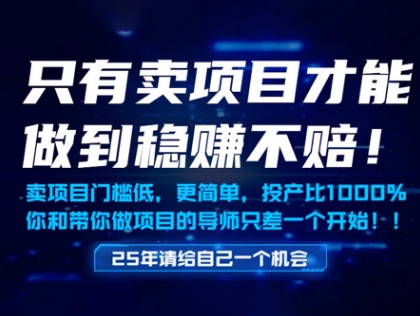 只有卖项目才能做到稳挣不赔，门槛低，更简单，你也可以年入百个W【揭秘】-瀚洪创业网