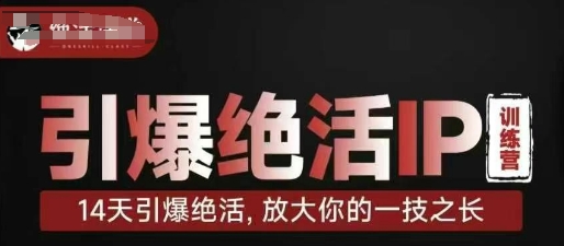 引爆绝活IP训练营，14天引爆绝活，放大你的一技之长-瀚洪创业网